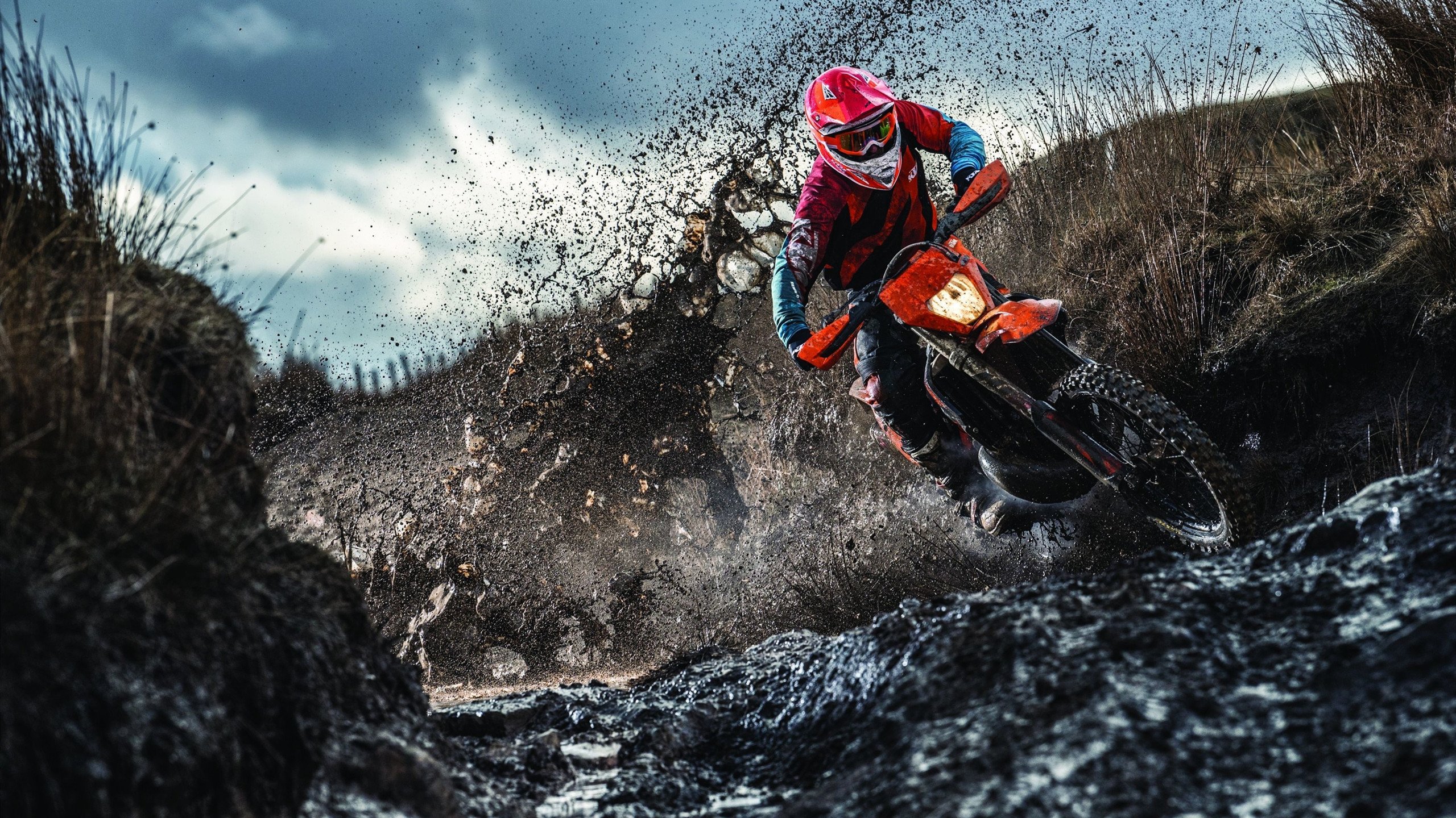 _豪华明星表演赛：娱乐与专业结合的新体验_，明星表演类节目