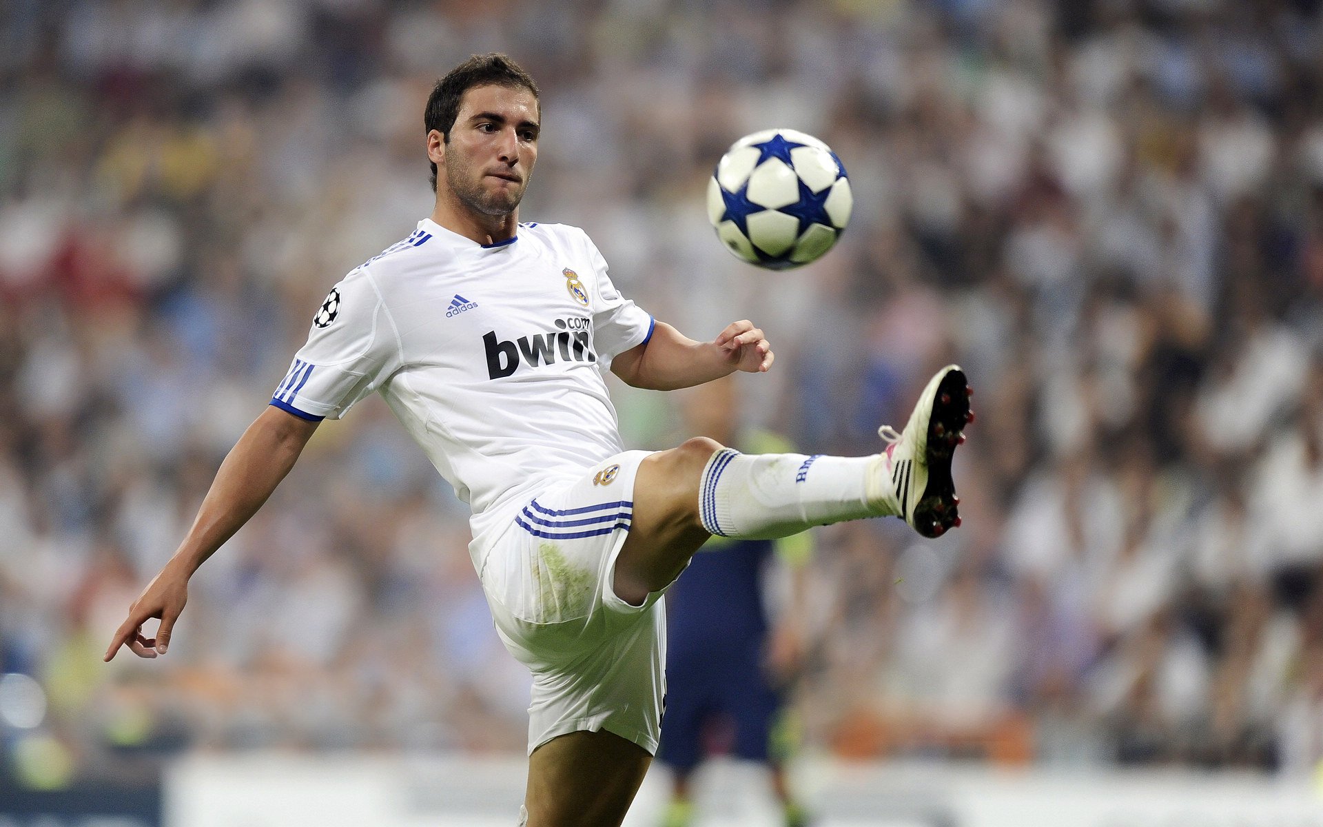 日本新星点燃希望之火！，2020日本新星